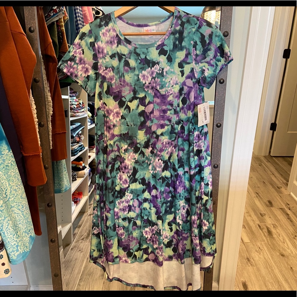 LuLaRoe Carly Dress